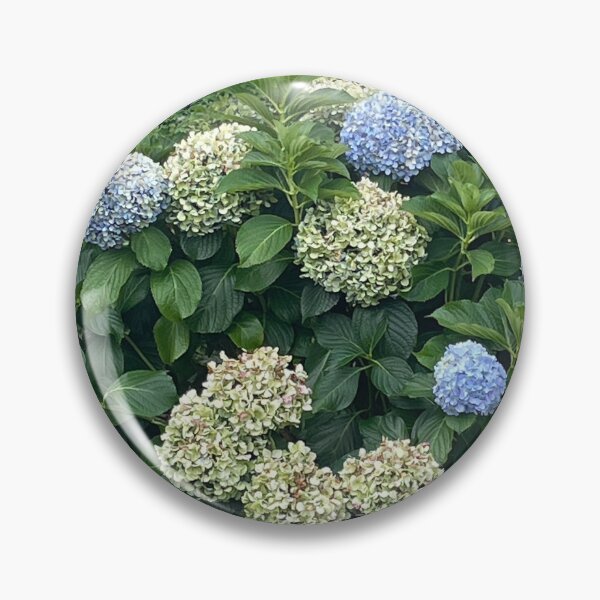 Item preview, Hydrangeas Galore designed and sold by KazM.