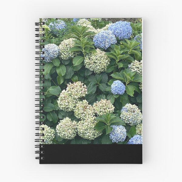 Item preview, Hydrangeas Galore designed and sold by KazM.