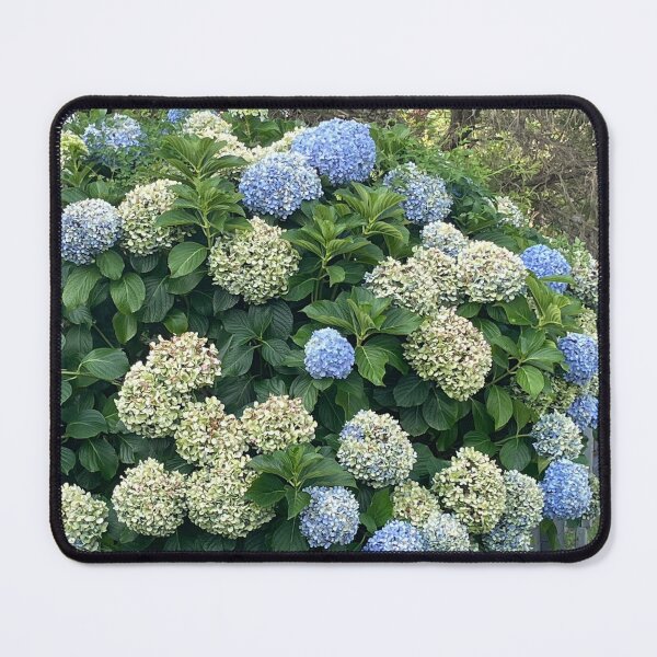 Item preview, Hydrangeas Galore designed and sold by KazM.
