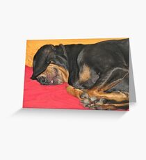 Black and Tan Coonhound Napping Greeting Card