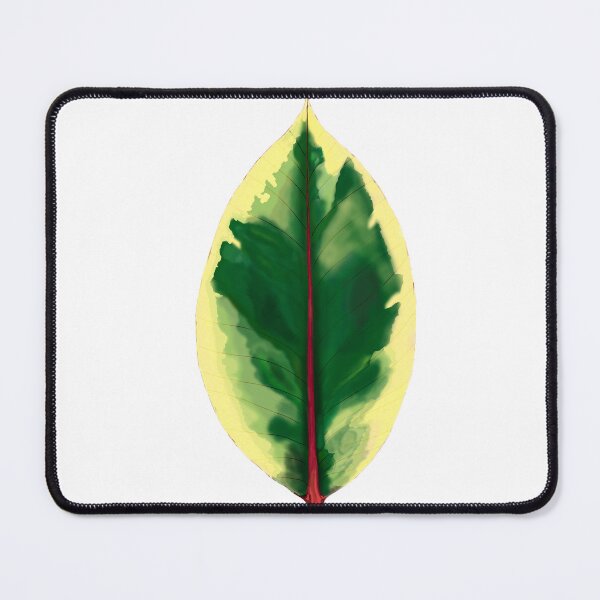 Item preview, Ficus Benjamina leave designed and sold by Taidundua.