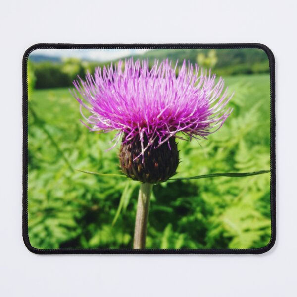 Item preview, Thistle Scotland designed and sold by Justeecat.