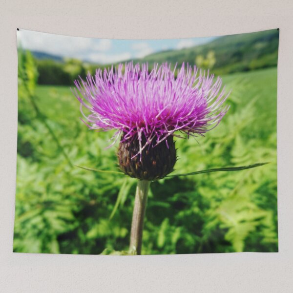 Item preview, Thistle Scotland designed and sold by Justeecat.