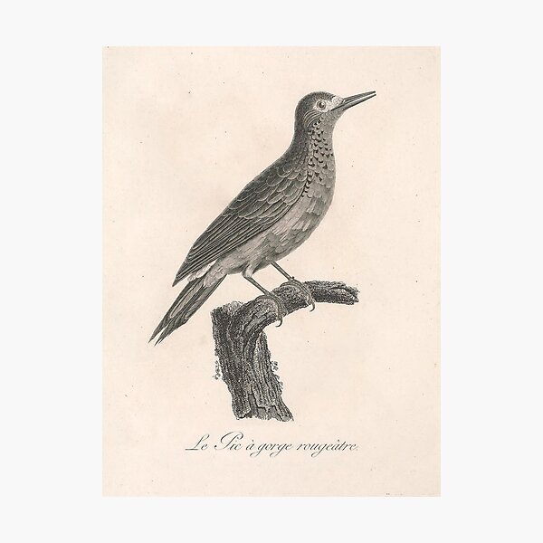 Item preview, Le Tic a Gorge Rougeatre designed and sold by ptMaker.