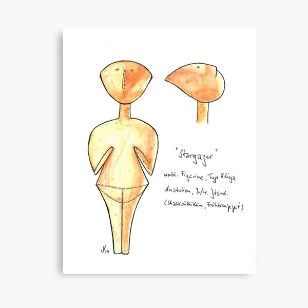 Stargazer Canvas Print