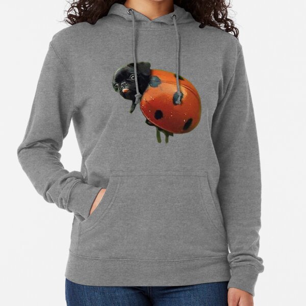 InterestPrint Ladybird and Flowers Pattern Womens Long Sleeve Sweatshirts All-Over Print Pullover Hoodie 
