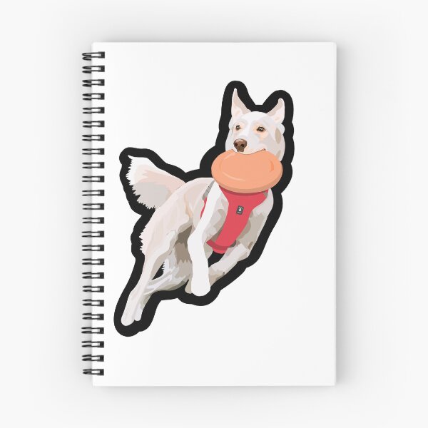 Aperçu de l'œuvre Autocollant représentant une femme qui aime le frisbee créée et vendue par MissNovaDog.