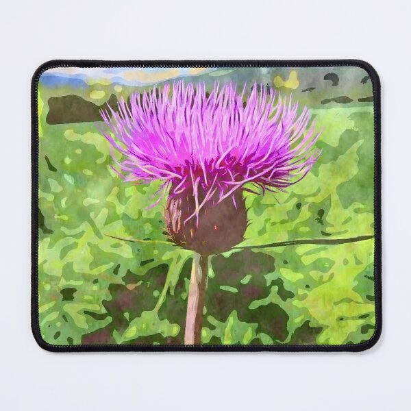 Item preview, Thistle Scotland water colour designed and sold by Justeecat.