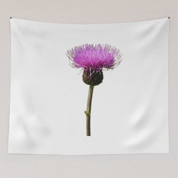 Item preview, Thistle Scotland Lone Thistle designed and sold by Justeecat.