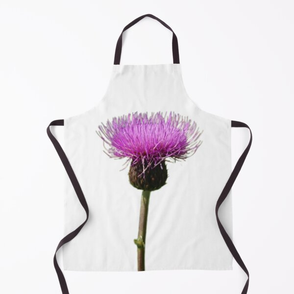 Item preview, Thistle Scotland Lone Thistle designed and sold by Justeecat.