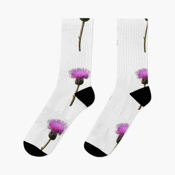 Item preview, Thistle Scotland Lone Thistle designed and sold by Justeecat.