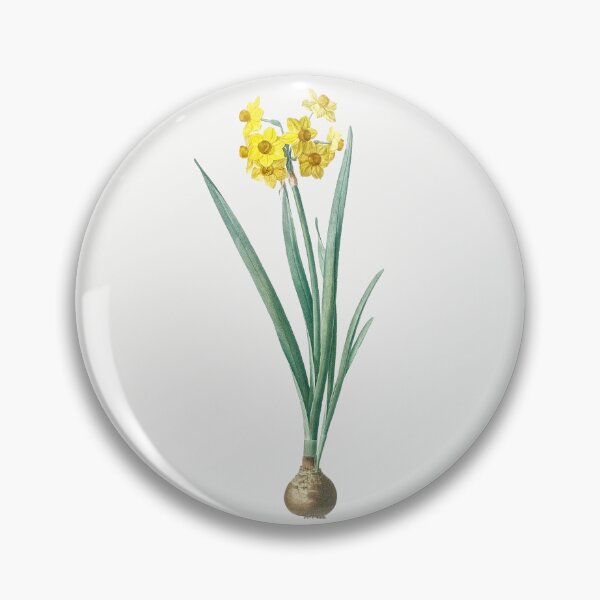 Item preview, Daffodil Illustration from Les liliacées by Pierre-Joseph Redouté designed and sold by Pretty  Pixel.