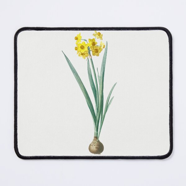 Item preview, Daffodil Illustration from Les liliacées by Pierre-Joseph Redouté designed and sold by Pretty  Pixel.