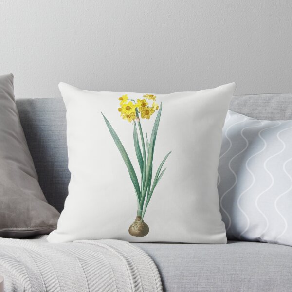 Item preview, Daffodil Illustration from Les liliacées by Pierre-Joseph Redouté designed and sold by Pretty  Pixel.