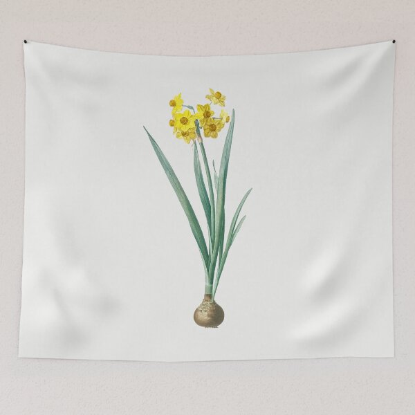 Item preview, Daffodil Illustration from Les liliacées by Pierre-Joseph Redouté designed and sold by Pretty  Pixel.