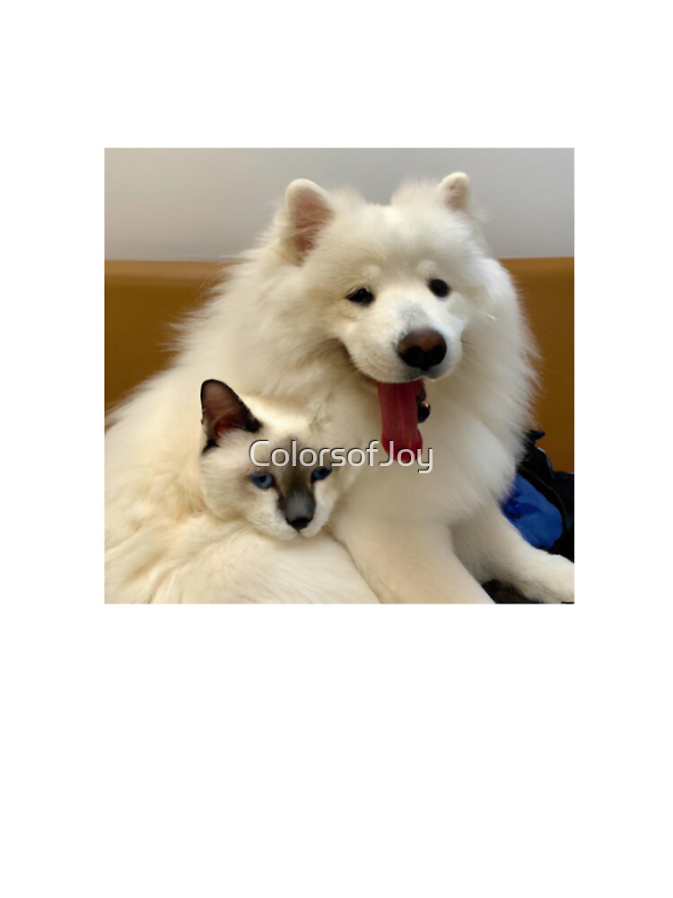 Samoyed hug best sale