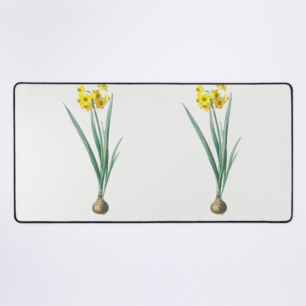 Item preview, Daffodil Illustration from Les liliacées by Pierre-Joseph Redouté designed and sold by Pretty  Pixel.