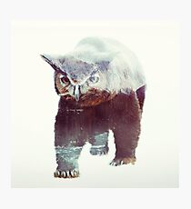 Owlbear Photographic Print