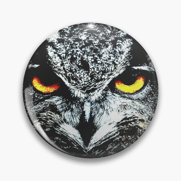 Owl Pin for Sale by Kmetas
