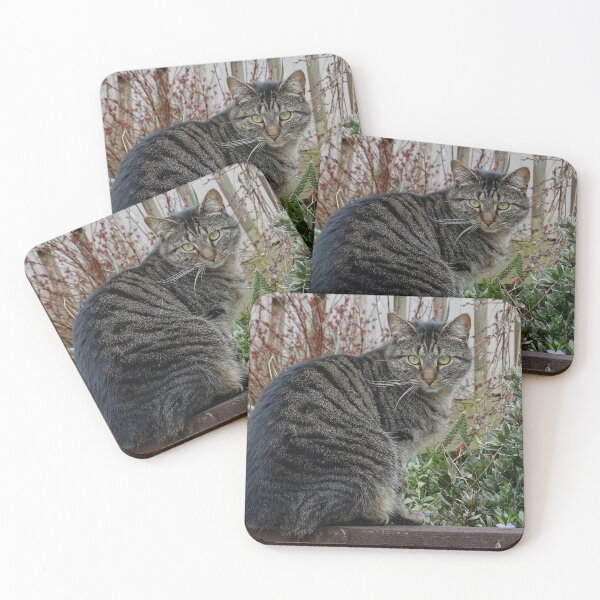 Item preview, Hunter in the Garden. designed and sold by GingerMan2550.