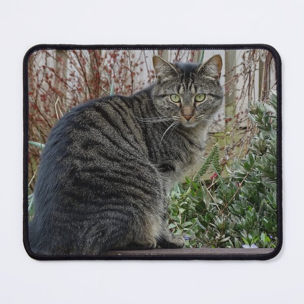 Item preview, Hunter in the Garden. designed and sold by GingerMan2550.