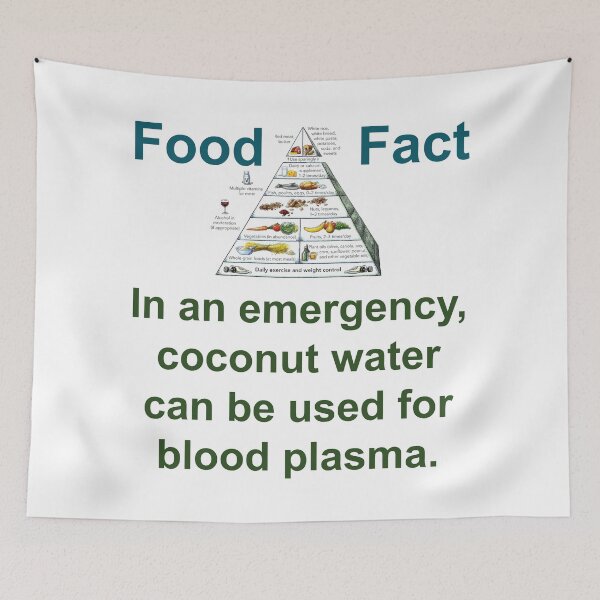 Item preview, In An Emergency Coconut Water - Food Fact designed and sold by CrankyOldDude.