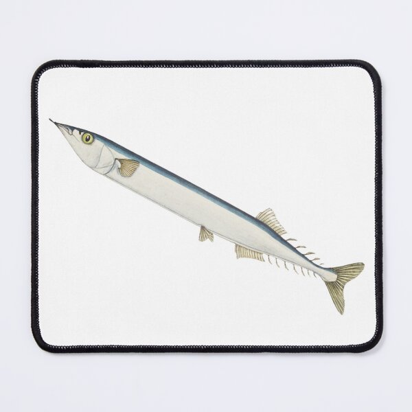 Item preview, Antique Fish Scomberesox Saurus Vintage Fish Lover designed and sold by AmethystMurad.