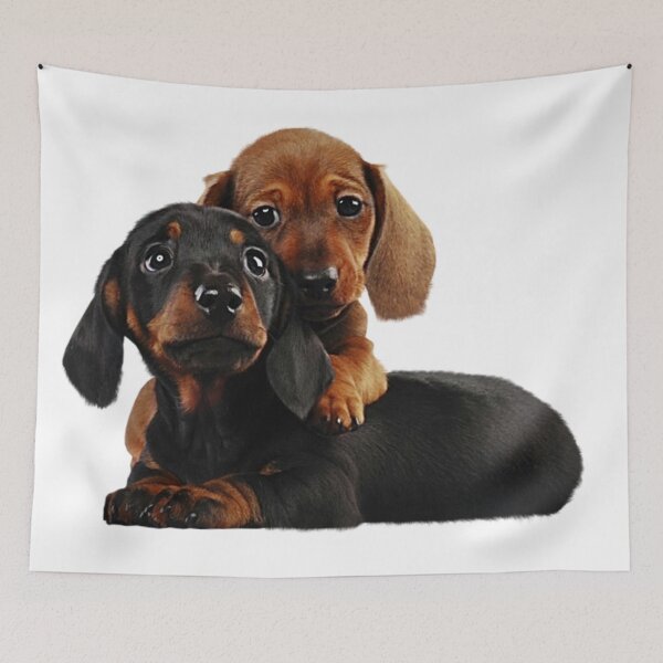 Item preview, Littles Dachshunds designed and sold by Gile-Shop.