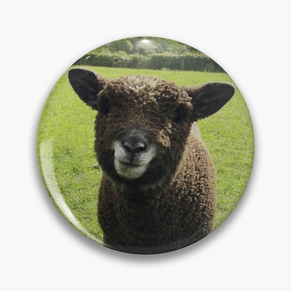 Item preview, Ryeland lamb designed and sold by Ewesful.