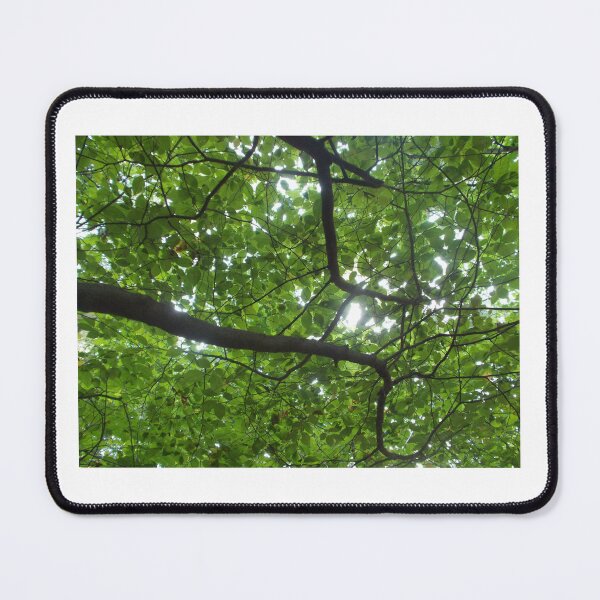 Item preview, Under a Tree - Orignal Photography designed and sold by JulienneJc.