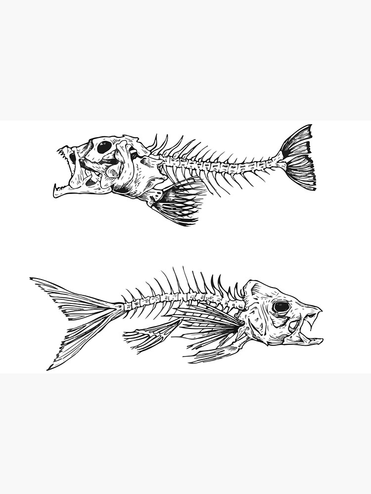 Fish bones / Fish skeleton | Canvas Print