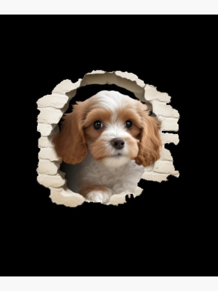 Cavapoo OR Cavachon Puppy Gift Card