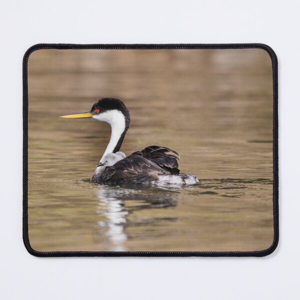 Item preview, Mama Grebe with Two Baby Chicks designed and sold by CarolM.