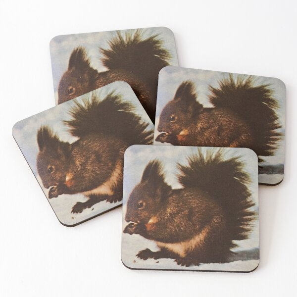 Item preview, Squirrel eating a nut in the snow designed and sold by SamJanner.