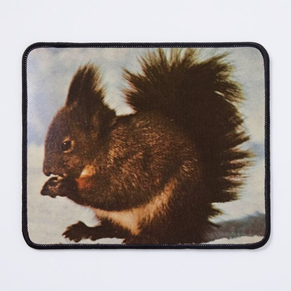 Item preview, Squirrel eating a nut in the snow designed and sold by SamJanner.