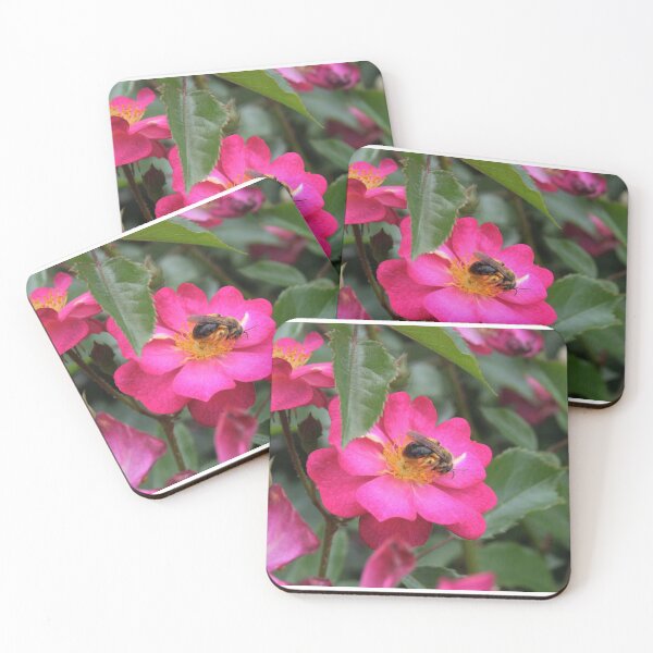 Item preview, Buzz designed and sold by Schummi.