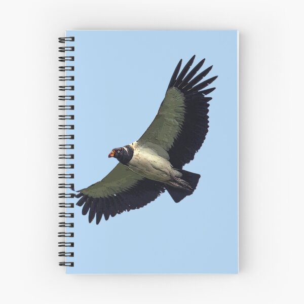 Item preview, King Vulture Color Print Painting Design   designed and sold by designsasstultd.