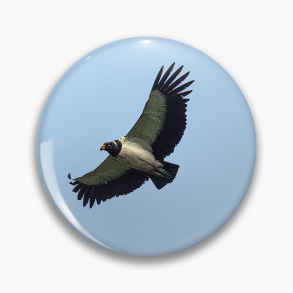 Item preview, King Vulture Color Print Painting Design   designed and sold by designsasstultd.