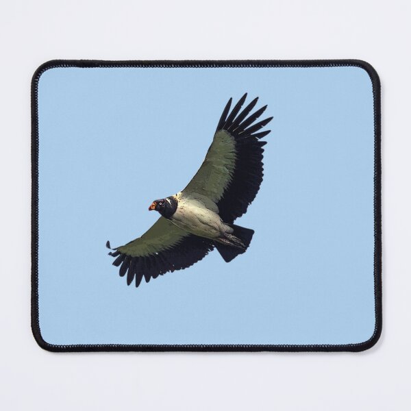 Item preview, King Vulture Color Print Painting Design   designed and sold by designsasstultd.