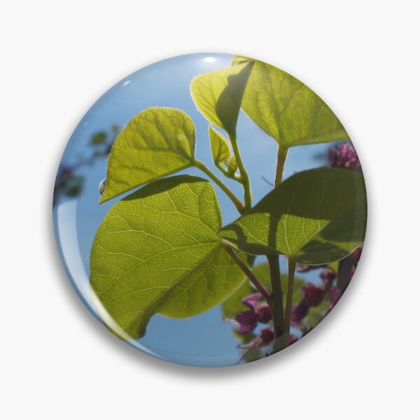 Item preview, Leaves Veins - Original Photography designed and sold by JulienneJc.