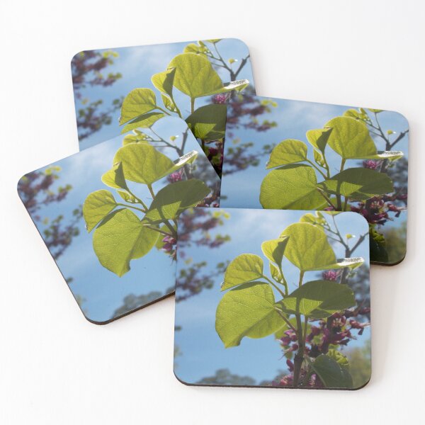 Item preview, Leaves Veins - Original Photography designed and sold by JulienneJc.