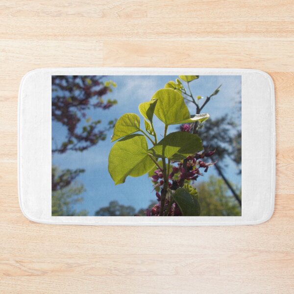 Item preview, Leaves Veins - Original Photography designed and sold by JulienneJc.