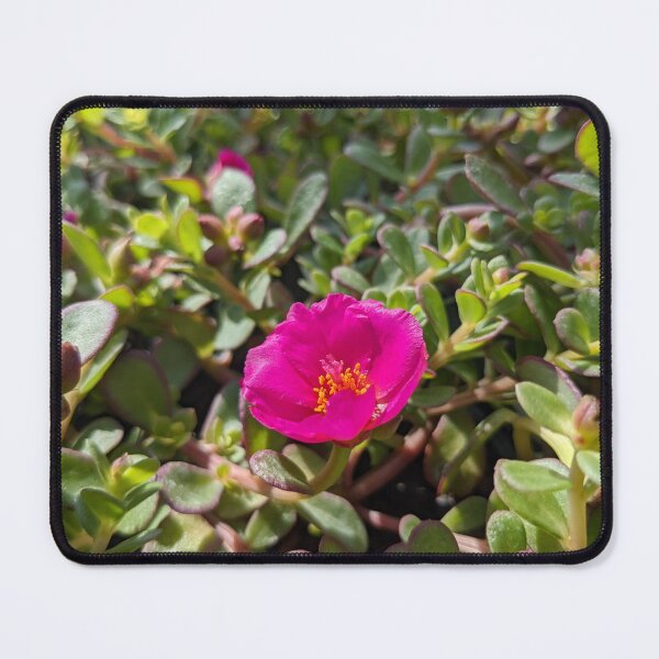 Item preview, Pink Moss Rose 1 designed and sold by AustaArt.