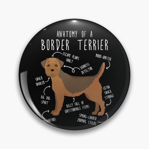 Item preview, Border Terrier Grizzle and Tan Dog Anatomy designed and sold by Clara Hollins.