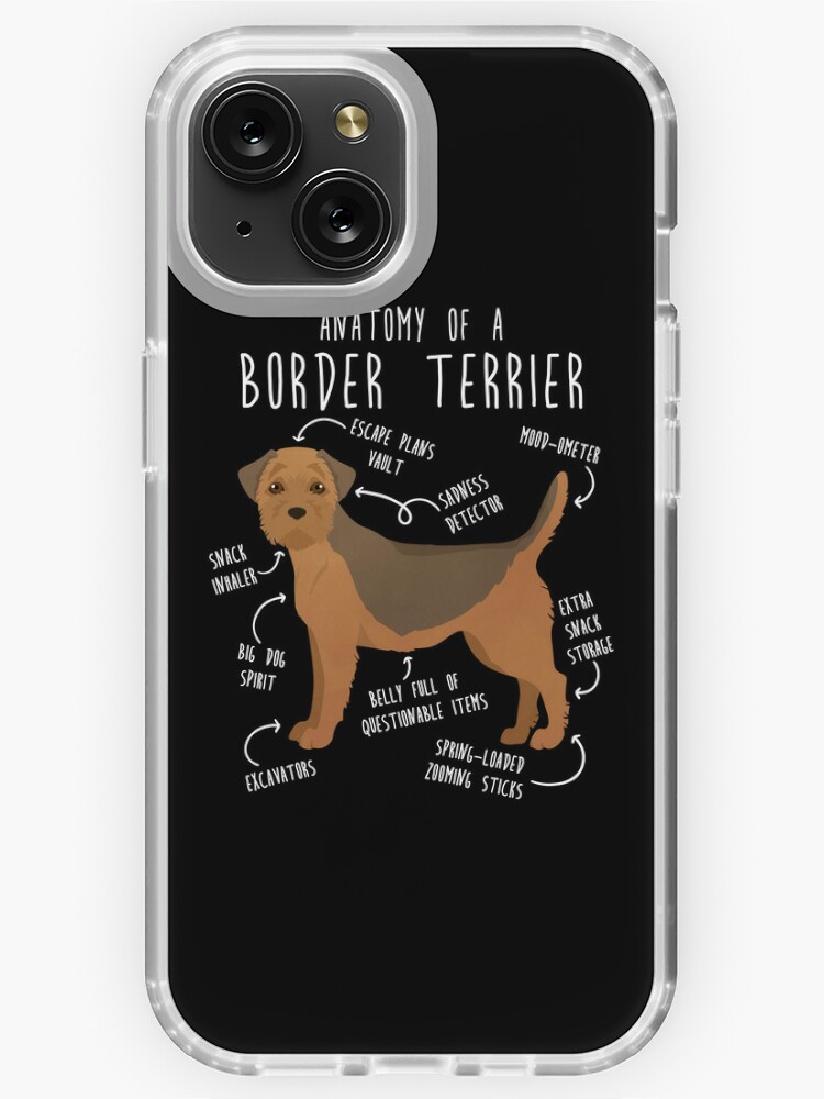 Border Terrier Grizzle and Tan Dog Anatomy