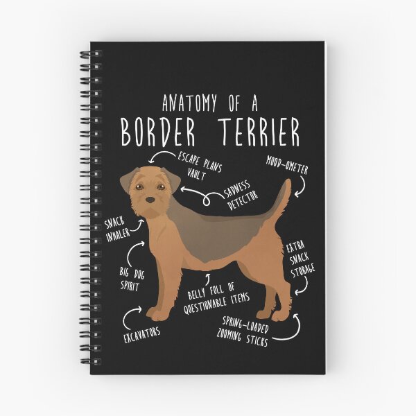 Item preview, Border Terrier Grizzle and Tan Dog Anatomy designed and sold by Clara Hollins.