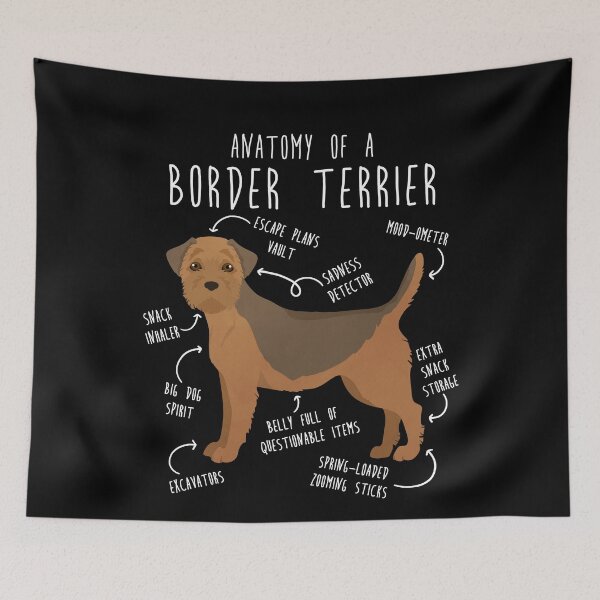 Item preview, Border Terrier Grizzle and Tan Dog Anatomy designed and sold by Clara Hollins.