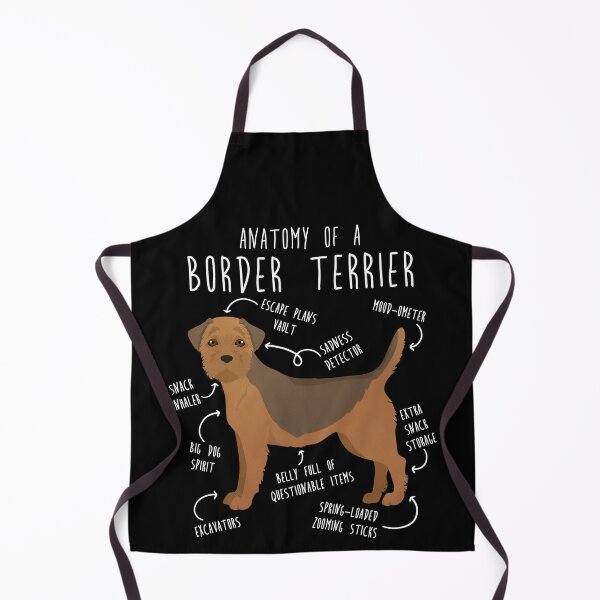 Item preview, Border Terrier Grizzle and Tan Dog Anatomy designed and sold by Clara Hollins.