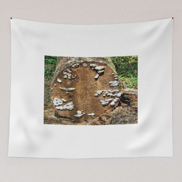 Item preview, Fungi In The Rain Forest 1 designed and sold by jtrommer.