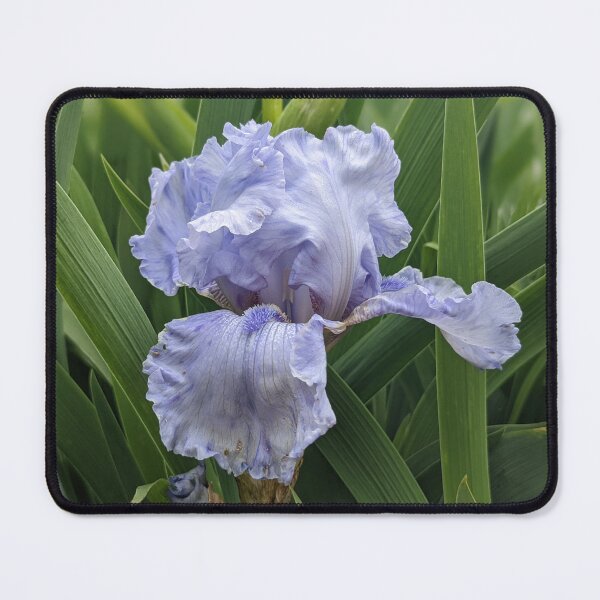 Item preview, Fading Iris designed and sold by AustaArt.
